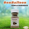 Natural Herbs Ferula Hermonis Sharsh Al Zaloua Powder Ground Premium