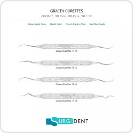 SURGIDENT GRACEY CURETTES DENTAL INSTRUMENTS PRO PICK *SET OF 4*