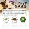 Mongo Ryu Shampoo EX Vol. 17 Renewal Scalp Shampoo for