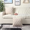 Haundry Pack of 2 Soft Plush Short Wool Velvet Decorative