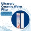 Doulton W9223021 UltraCarb Ceramic Water Filter Candle, White, Pack of