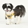 Puppia Lucas Dog Comfort Harness C (Step-in) Fashionable Checkered Pattern