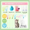 CHIPP'S Cat Delight Fuzzy Pom Pom 2 Kittens Feather Toy,