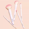 Wet n Wild Set Polvo Traslucido Photo Phocus Y Brocha
