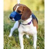 Dog Muzzle,Soft Mesh Dog Muzzles Dogs, Breathable Adjustable Loop Pets