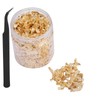 Leaf Flakes Gold with Tweezers, 10 g Imitation Gold Metallic