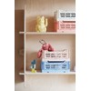 Ay-Kasa Folding Crate, Sturdy Folding Box, Plastic, Stackable, Almond Green,
