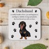 Dachshund Drinks Coaster - Dachshund Gift For Men, Women -