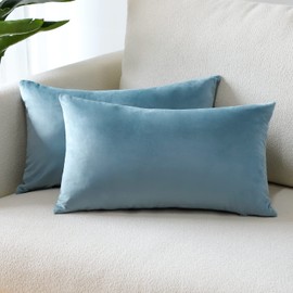 Sungeek Pack of 2 Velvet Cushion Covers Soft Decorative Pillow Covers with Invisible Zipper Luxury Throw Pillow Cases for Home Decor Sofa Bedroom Living Room 30x50cm Light Blue
