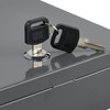 Relaxdays Lockable Cash Box, Removable Insert, 4 Compartments, Iron Cash