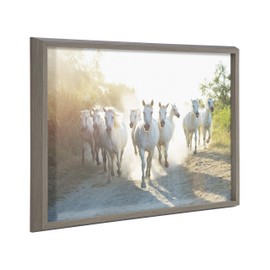 Kate and Laurel Blake Camargue Horse XIII Framed Printed Glass Wall Art by Laura Evans, 18x24 Gray, Majestic Horse Art for Wall