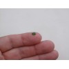 pinnaclediamonds Green Chrome Diopside Oval Gem 5x4mm