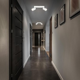 B.K.Licht - EEK A LED Ceiling Light Swivelling 3000 K Warm White Each 2 W Each 450 Lumen Approx. 50,000 Hours Light, Ceiling Light, Living Room Lamp, Bedroom Lamp, Kitchen Lamp, Ceiling Lamp, 25.5 cm,