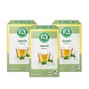 LEBENSBAUM Organic 3 x Jasmine Green Tea, Jasmine Tea Bag,