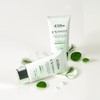 Dalva Dalba Clean Tea Tree Liposome Green Tone Up Sun