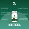 Alga Spirulina 100 Cápsulas Aporta Minerales Proteinas Anti Anemico Excelente