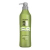 Recamier SalonIn Pro Keratin Ultra Force Shampoo For Damaged Hair