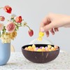 HEMOTON Coconut Bowls Key Dish Bowl Natural Coconut Shell Bowl