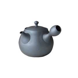 Tokyo Matcha Selection - Tokoname-yaki - TOKUTA FUJITA - 310cc/ml - kyusu teapot - Sasame ceramic fine mesh [Standard Ship by Int'l e-Packet: with Tracking Number & Insurance]