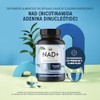 LIFE 360 NAD (Nicotinamida Adenina Dinucleótido) 60 cápsulas 590mg