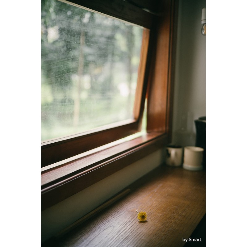 TTArtisan 50mm f/2 Z Mount Nikon Z Lens Brand Optics