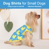 Dog Shirt Vest Dog Clothes for Small Dogs Boy Girl