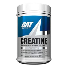 Suplemento Polvo Gat Sport Creatina 1kg