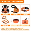 LOBEVE No Pull Dog Harness, Collar & Leash Set |