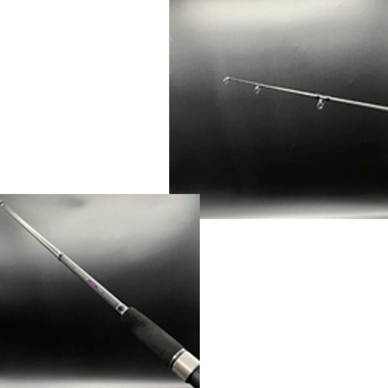 PROMARINE 614236 CB Legesta Akiaji 1103H Salt Rod