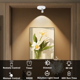 Wireless LED Spotlight, Battery Powered Picture Lights, Uplighting Indoor, Tree Spotlight with Remote, Stick Spot Light for Wall Art Display Dartboard Painting Artwork Accent Closet, 2Pack