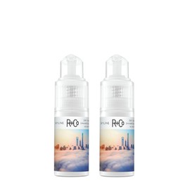 R+Co Skyline Dry Shampoo Powder Travel Size | Intense Oil Aboroption | Eelvates Hair, Texture and Grip | TSA Approved | Pack of 2