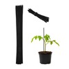 Relaxdays Plant Stakes, Set of 50, H x D 30
