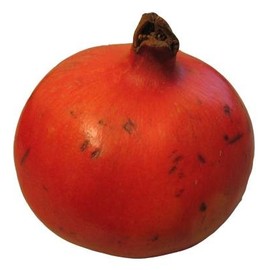 Pomegranate Great Garden Tree by Seed Kingdom Bulk - 200 Seeds