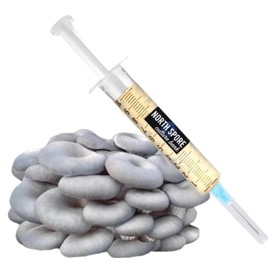 North Spore Organic Blue Oyster Mushroom Liquid Culture | Mushroom Growing | Pleurotus ostreatus | Made by Mycologists