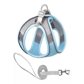 Pechera Arnés Transpirable Cómodo con Correa para Perro Gato,con Tira Reflectante (Azul, XS)