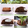 Riare 10 Pack Coco Chips Substrate for Plants- 11lb 100%