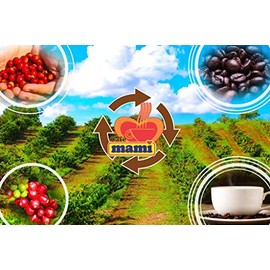 CAFE MAMI, 100% Puerto Rican Premium Ground Coffee, 42oz (3 units of 14oz) + Plus Sticker by Artist Jose Hoffman