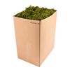 SuperMoss (23806) Mountain Moss – Natural Green Sphagnum Moss for