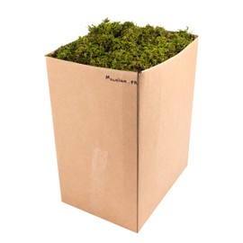 SuperMoss (23806) Mountain Moss – Natural Green Sphagnum Moss for Soil Top Dressing, Potting Mix, Garden Decor, and Craft Projects, 2,588 cu in, Preserved