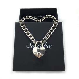 Succuba Padlock Necklace Chain Collar Choker with Two Keys and Box for Women, Men and Pet (I, 16)