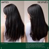 Aveda Scalp Solutions Balancing Shampoo Limpiador Hidratante