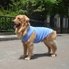 Lovelonglong 2019 Summer Pet Clothing, Dog Clothes Blank T-Shirts Ribbed