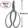 Stainless steel Long blade Ikebana Scissors 200mm