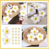 Pack of 20 Hawaiian Flower Hair Clips, Artificial Plumeria Hair