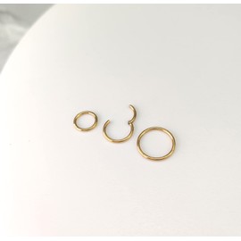 Anillo de nariz con bisagras de acero inoxidable quirúrgico de 16G, 18G, 20G, 18G, 20G, aro para cartílago, hélice, tragus, dorado, plateado, oro rosa, negro, 6 mm, 8 mm, 10 mm, 12 mm, hipoalergénico para mujeres, niñas y hombres, 20G Gold 6mm/8mm/10mm, 