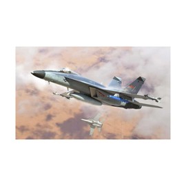 HobbyBoss 1/48 FA-18E Super Hornet VFC-12 Plastic Model Making Scale: 1:48