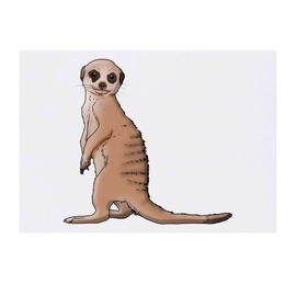 'Meerkat Pup' Temporary Tattoo - Water Resistant, Skin-Safe, Non-Toxic Transfer (TO00042194)
