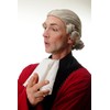 WIG ME UP - F2588-51 Wig Quality Men's Carnival Theatre