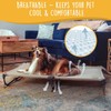 CANINE CANYON Daisy Cot, Large Foldable Elevated Dog Bed, Portable
