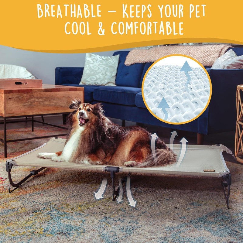 CANINE CANYON Daisy Cot, Large Foldable Elevated Dog Bed, Portable